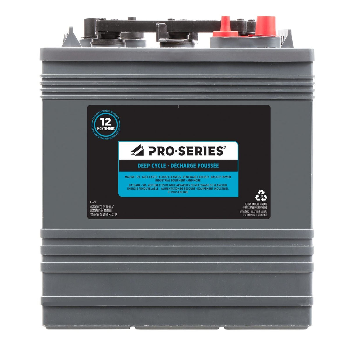 Group 901 6-Volt Deep Cycle Battery