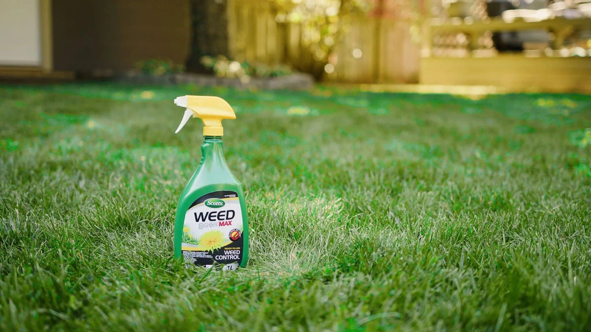 Weed B Gon MAX Weed Control Concentrate for Lawns, 1-L