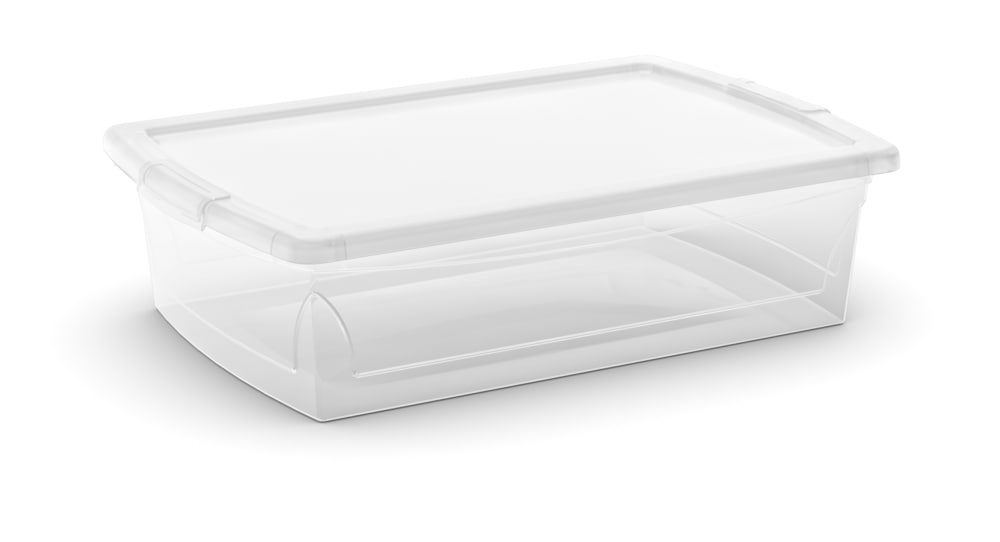 type A Clarity Transparent Storage Box with Lid, 25-L