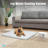 Pet Bed Cooling System, Consistent Warm and Cold Water Pad, No Electric Shock or Chemical Gel Needed, Machine Washable Bed, Ideal for Home and Crates (Cooling & Heating Green, 41" x 28")