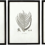 MY SWANKY HOME Modern Set of 6 Black White Fern Prints Botanical Framed Monochrome 29 in