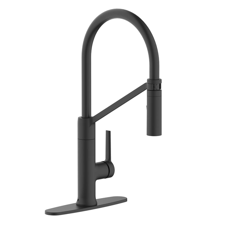 Tana 1-Handle Pull-Down Kitchen Faucet O1431
