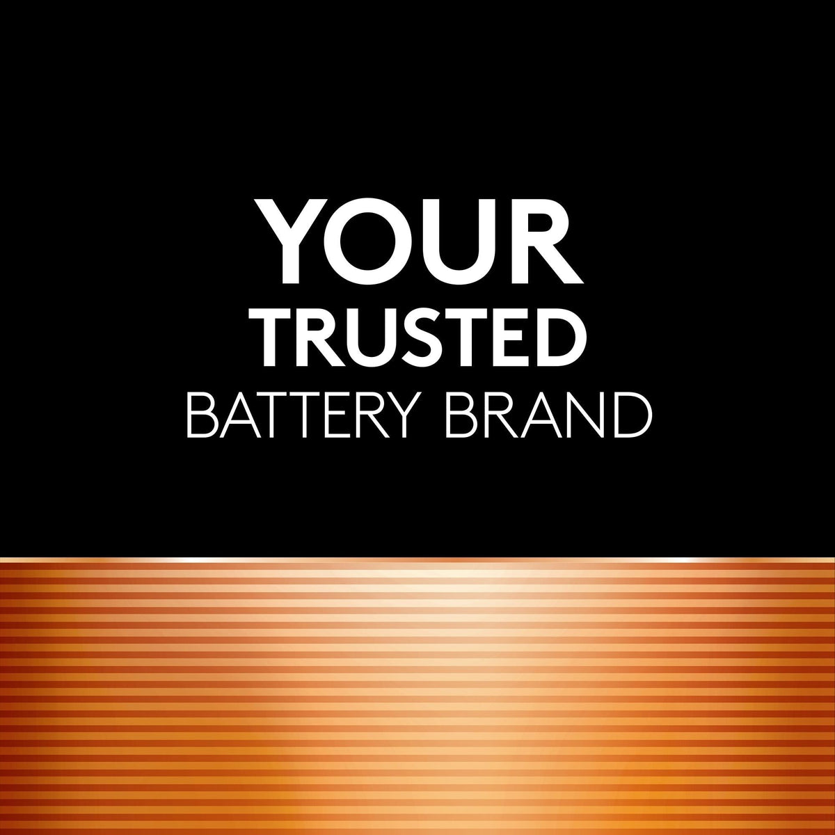 Coppertop AAA Batteries, Alkaline, 4-pk