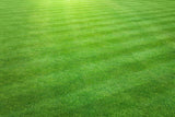 Nitrogrow+ Premium Nitrogen Enriched Sun and Shade Grass Seed with Fertilizer, 14-0-0, 1.2kg