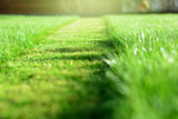 Nitrogrow+ Premium Nitrogen Enriched Sun and Shade Grass Seed with Fertilizer, 14-0-0, 1.2kg