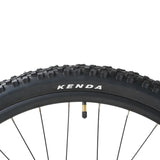Infinity HT 29 Mountain Bike