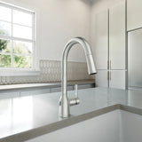 Adler Single Handle Kitchen Faucet with, Spot-resistant Stainless