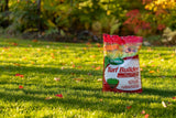 Turf Builder Fall Lawn Fertilizer, 5.25-kg