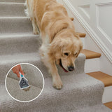 Shark StainStriker Corded Portable Carpet & Upholstery Cleaner