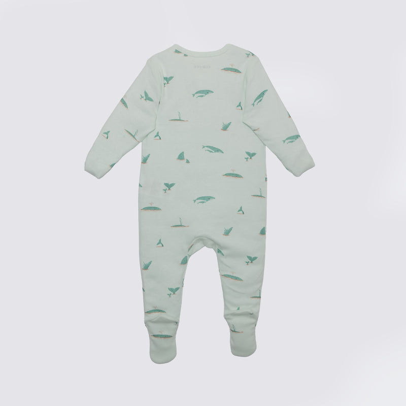 Whale Print Premium Organic Cotton Play and Grow Zippy, Various Sizes G1408