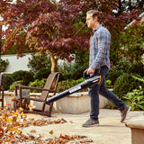 WG929 20V Power Share Cordless Grass Trimmer & Leaf Blower Combo Kit