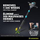 20V Cordless Lawn Weeder, with 2.0Ah Battery and Charger